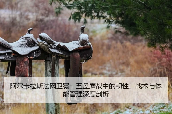 a-er-ka-la-si-fa-wang-wei-mian-wu-pan-ao-zhan-zhong-de-ren-xing-zhan-shu-yu-ti-neng-guan-li-shen-du-pou-xi-1-877.jpg