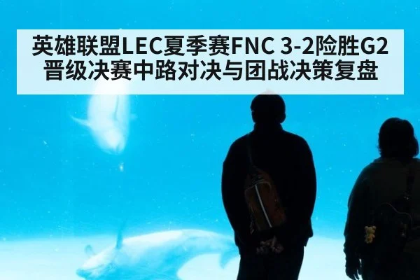 英雄联盟LEC夏季赛FNC 3-2险胜G2晋级决赛中路对决与团战决策复盘